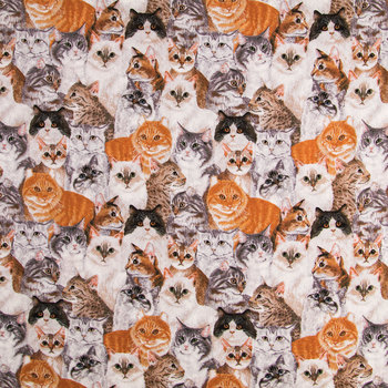 Cat Fabric for Masks